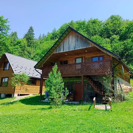 Під Горою Villa Sheshory Buitenkant foto