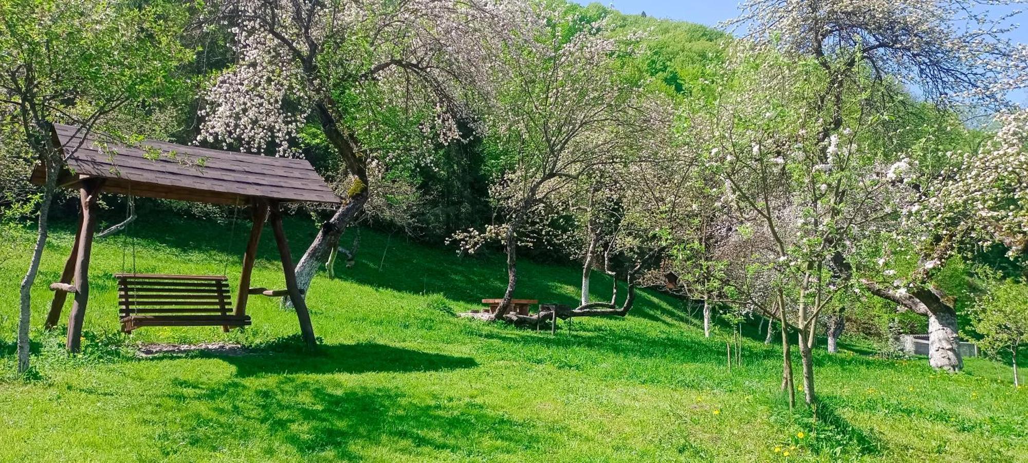 Під Горою Villa Sheshory Buitenkant foto