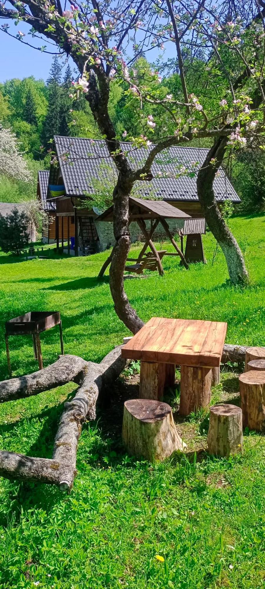 Під Горою Villa Sheshory Buitenkant foto